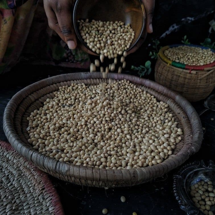 Soya Beans